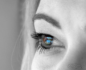 397653832_984e313f07