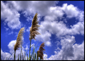 clouds