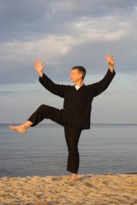 tai chi - posture kick with right heel
